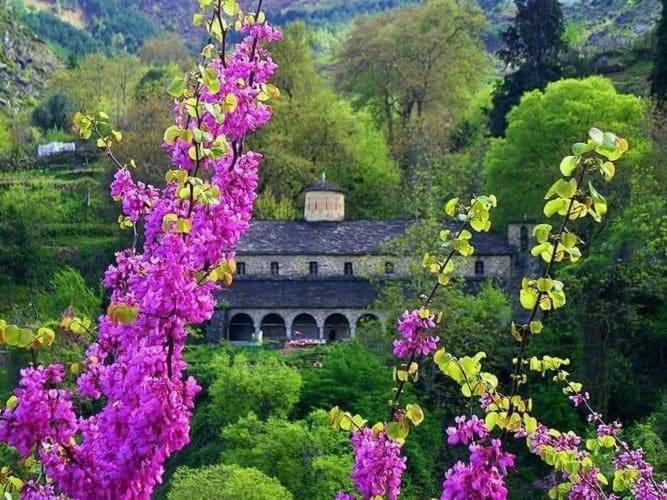 Eagle House Villa Permet Luaran gambar